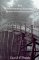 The Transcendental Saunterer : Thoreau and the Search for Self cover