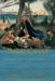 Beyond Camelot : Rethinking Politics And Law For The Modern State cover