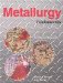 Metallurgy Fundamentals cover