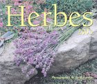 Herbes 2003 [Click for larger image]