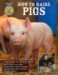 How to Raise Pigs : Everything You Need to Know cover