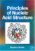  Principles of Nucleic Acid Structure