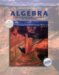 Intermediate Algebra : The Language And Symbolism of Mathematics cover