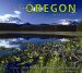 Central Oregon Impressions cover