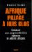 Afrique, Pillage a Huis Clos : Comment Une Poignee D'inities Siphonne Le Petrole Africain cover