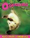 Opossums cover
