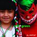 Red + Green / Rojo + Verde cover