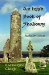 An Irish Book of Shadows : Tuatha De Danann cover