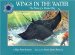 Wings in the Water : The Story of a Manta Ray cover