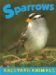 Sparrows cover