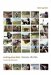 Making Dead Birds : Chronicle of a Film cover