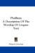 Phallism : A Description of the Worship of Lingam-yoni cover
