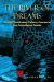 The River of Dreams : Tools for Transforming Ordinary Experiences into Extraordinary Realities cover
