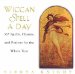 Wiccan Spell a Day : 365 Spells, Charms, and Potions for the Whole Year cover