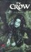 The Crow : Evil Beyond Reach cover