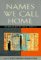 Names We Call Home : Autobiography on Racial Identity cover