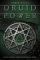 Druid Power : Celtic Faerie Craft and Elemental Magic cover