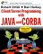 Client/Server Programming With Java and Cobra cover