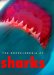 The Encyclopedia of Sharks cover