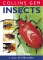 Insects cover
