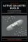  Active Galactic Nuclei: From the Central Black Hole to the Galactic Environment