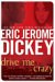 Drive Me Crazy cover