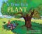 Tree Is a Plant cover