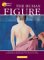 The Human Figure cover