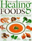 Healing Foods [Click for larger image]