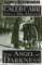 The Angel of Darkness cover