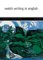  Welsh Writing In English: A Yearbook Of Critical Essays