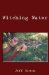 Witching Water cover