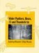 Water Panthers, Bears, and Thunderbirds : Exploring the Effigy Mounds of Wisconsin cover