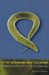 In the Beginning Was the Worm : Finding the Secrets of Life in a Tiny Hermaphrodite cover