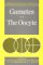  Gametes: The Oocyte