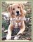  Your Older Dog: A Complete Guide to Helping Your Dog Live a Longer and Healthier Life