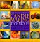 The Encyclopedia of Candlemaking Techniques : A Step-By-Step Visual Guide cover