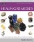 The Illustrated Encyclopedia of Healing Remedies cover