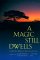 A Magic Still Dwells : Comparative Religion in the Postmodern Age cover
