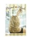 Beyond the Blonde cover
