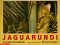  Jaguarundi