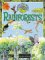Rainforests cover