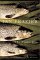 The Fish's Eye : Essays About Angling and the Great Outdoors cover