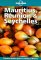 Lonely Planet Mauritius, Reunion & Seychelles cover