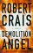 Demolition Angel cover