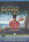 An American Mystic : A Novel of Spiritual Adventure cover