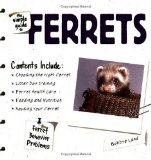 The Simple Guide to Ferrets [Click for larger image]