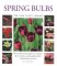 Spring Bulbs cover