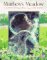Matthew's Meadow cover