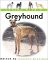 Living With a Greyhound cover